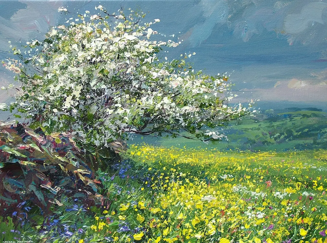 Mark Preston - mayblossom and buttercups, ashleyhay